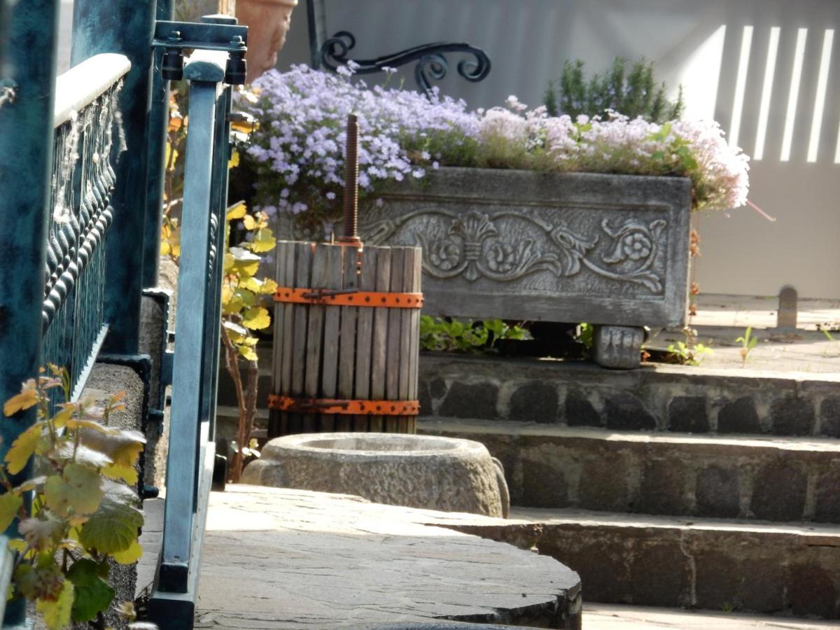 Garni Hotel Terano Maribor Luaran gambar